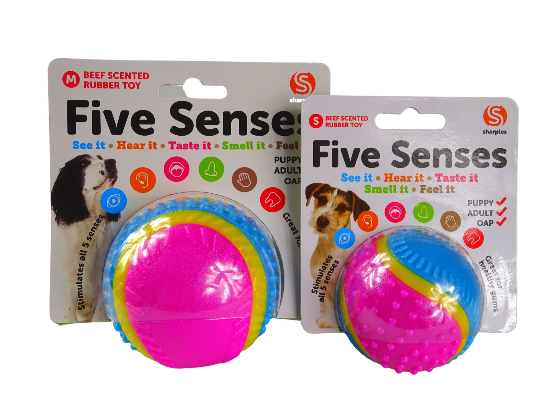 Sharples Beef Scented Five Senses rubber ball for dogs, medium in