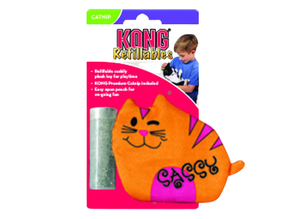 Kong cat best sale scratcher refills